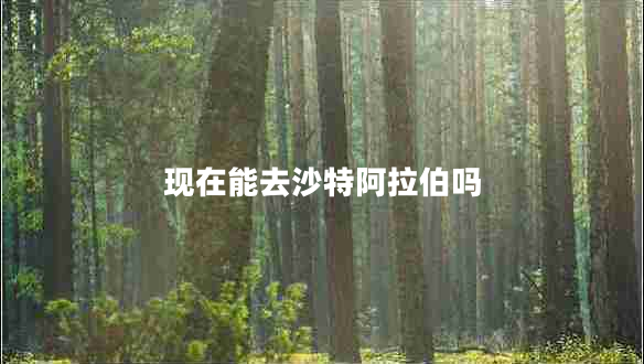 現在能去沙特阿拉伯嗎