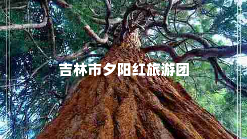 吉林市夕陽(yáng)紅旅游團