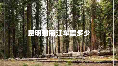 昆明到麗江車(chē)票多少
