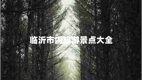 臨沂市內旅游景點(diǎn)大全