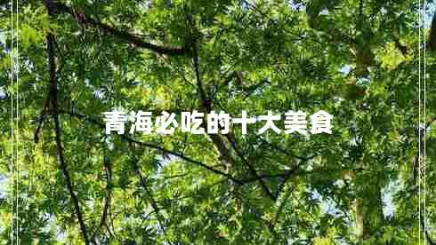 青海必吃的十大美食
