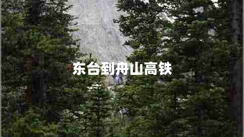 東臺到舟山高鐵