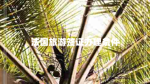 法國旅游簽證辦理條件