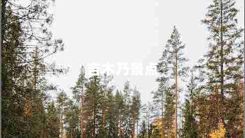吉木乃景點(diǎn)