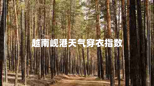 越南峴港天氣穿衣指數