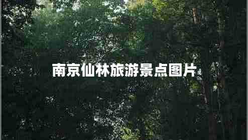 南京仙林旅游景點(diǎn)圖片