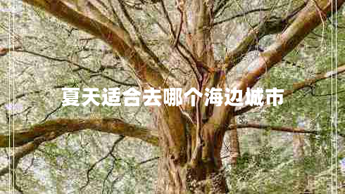 夏天適合去哪個(gè)海邊城市