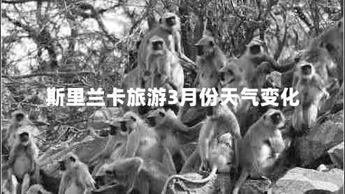 斯里蘭卡旅游3月份天氣變化 斯里蘭卡旅游3月份天氣變化