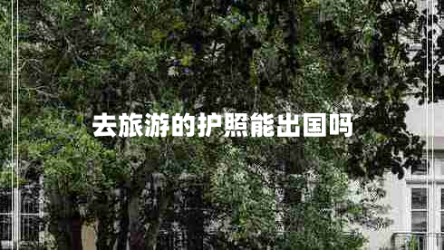 去旅游的護照能出國嗎 去旅游的護照能出國嗎