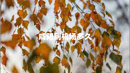 咸陽到機(jī)場(chǎng)多久