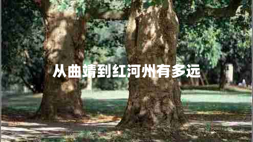 從曲靖到紅河州有多遠