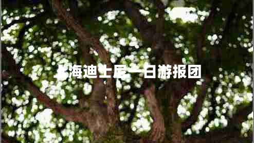 上海迪士尼一日游報團