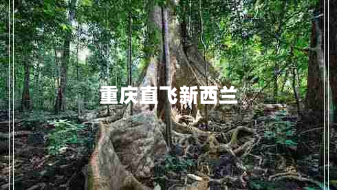 重慶直飛新西蘭 重慶直飛新西蘭