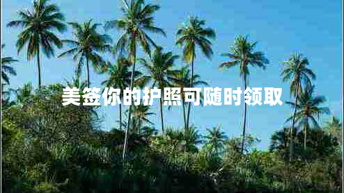 美簽?zāi)愕淖o(hù)照可隨時(shí)領(lǐng)取 美簽?zāi)愕淖o(hù)照可隨時(shí)領(lǐng)取