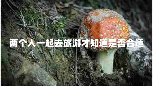 兩個(gè)人一起去旅游才知道是否合適