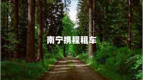 南寧攜程租車(chē)