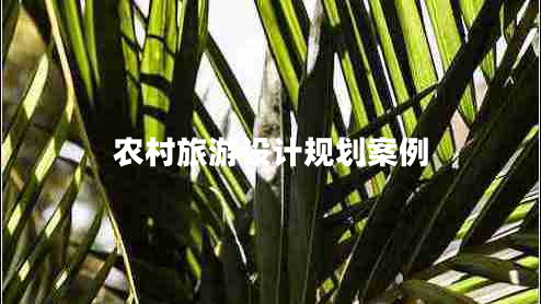 農村旅游設計規劃案例