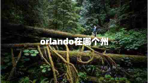 orlando在哪個(gè)州