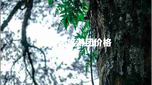 去泰國(guó)旅游團(tuán)價(jià)格