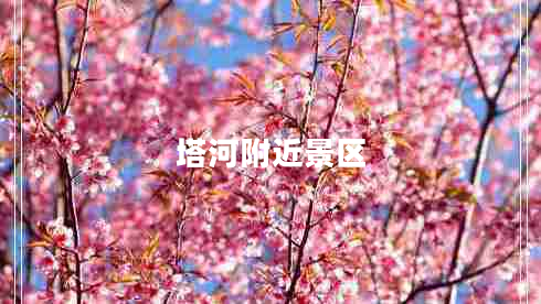 塔河附近景區