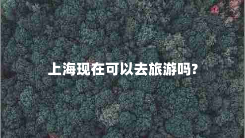 上?，F(xiàn)在可以去旅游嗎?