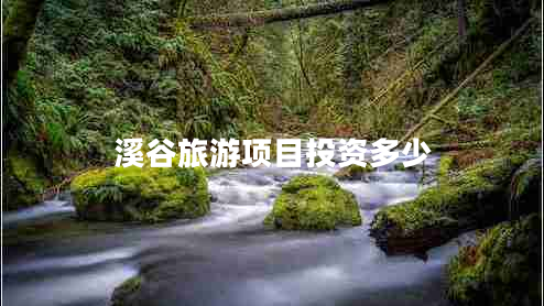溪谷旅游項目投資多少