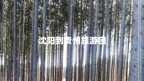 沈陽(yáng)到貴州旅游團(tuán)