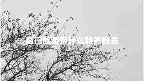 廈門(mén)旅游帶什么特產(chǎn)回去