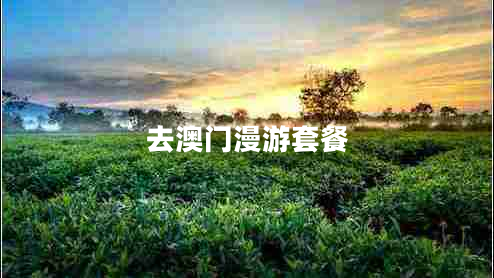 去澳門(mén)漫游套餐