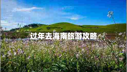 過年去海南旅游攻略