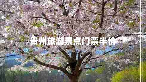 貴州旅游景點(diǎn)門(mén)票半價(jià)