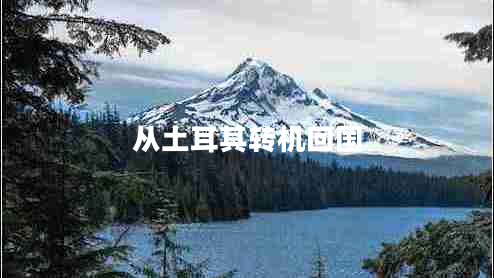 從土耳其轉機回國