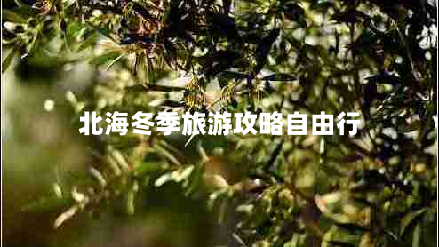 北海冬季旅游攻略自由行