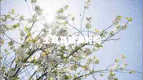 土耳其旅游時(shí)間