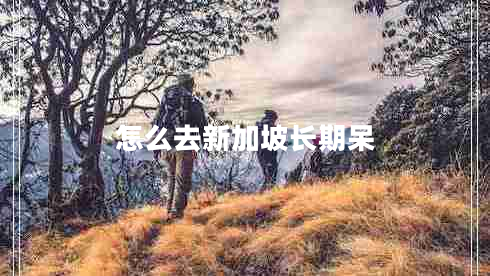 怎么去新加坡長(cháng)期呆