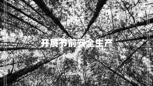 開(kāi)展節前安全生產(chǎn)