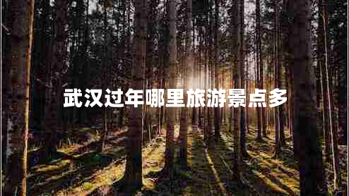武漢過(guò)年哪里旅游景點(diǎn)多