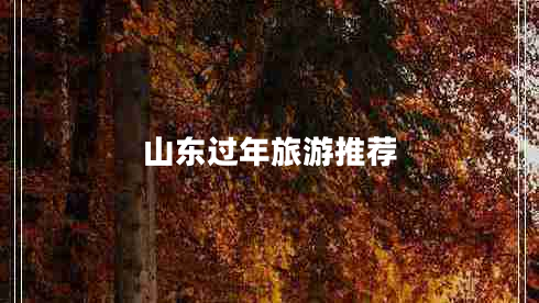山東過(guò)年旅游推薦