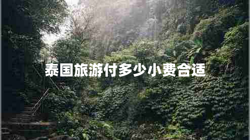 泰國旅游付多少小費合適