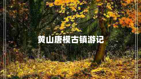 黃山唐模古鎮(zhèn)游記