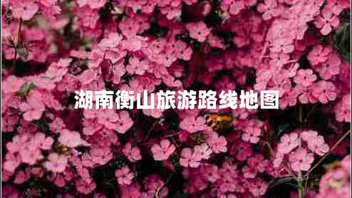 湖南衡山旅游路線地圖 湖南衡山旅游路線地圖