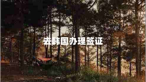 去韓國(guó)辦理簽證