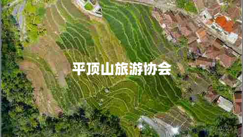 平頂山旅游協(xié)會(huì )