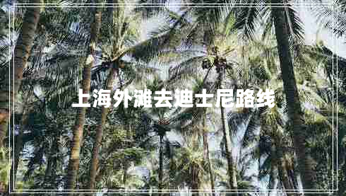 上海外灘去迪士尼路線(xiàn)
