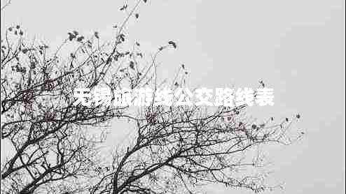 無(wú)錫旅游線公交路線表