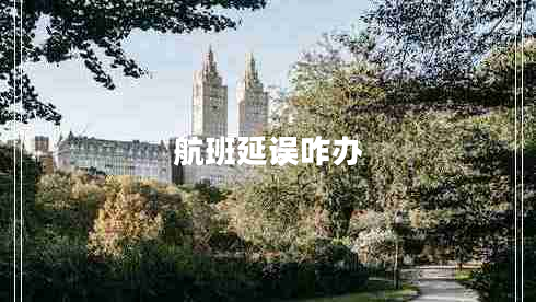 航班延誤咋辦