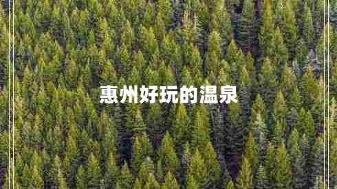 惠州好玩的溫泉 惠州好玩的溫泉