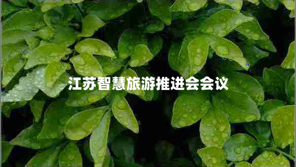 江蘇智慧旅游推進會會議