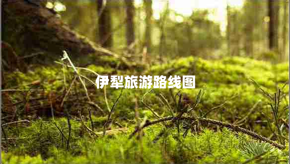 伊犁旅游路線(xiàn)圖