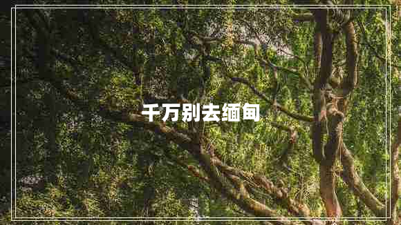 千萬(wàn)別去緬甸